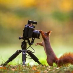 Rollei Compact Traveler Mini M-1 Stativ Schwarz 17 Rollei Compact Traveler Mini M-1 Stativ Schwarz -Rollei Geschaft 20846CompactTravelerMiniM 1Stativ 3